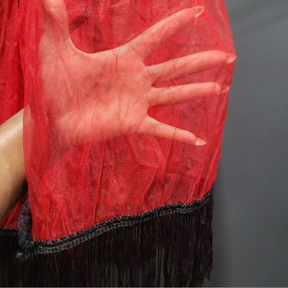 VINTAGE EXOTIQUE OF NEW YORK RED AND BLACK LACE AND FRINGE BURLESQUE LINGERIE - Picture 4 of 8